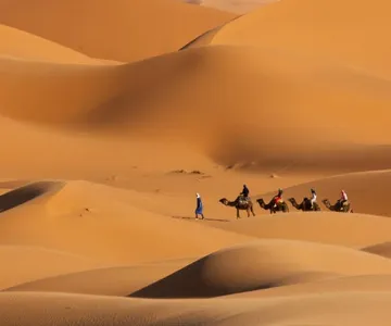 Dubai Desert Camel Ride with Dinner & Show